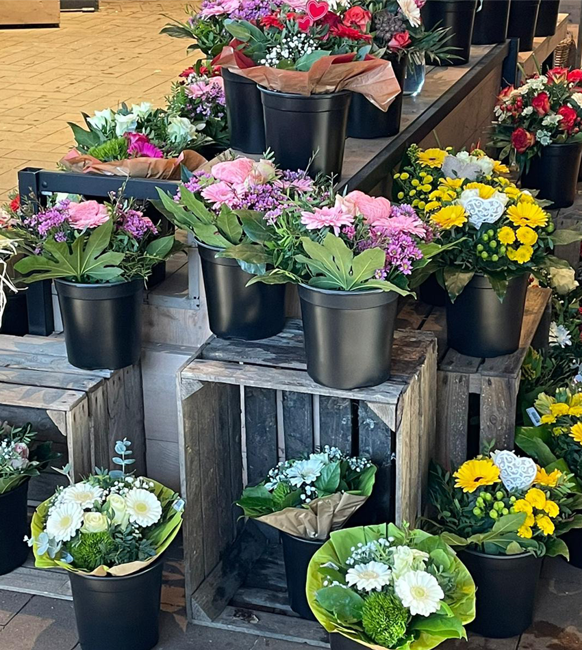 Schnittblumen Liste Mit Bildern