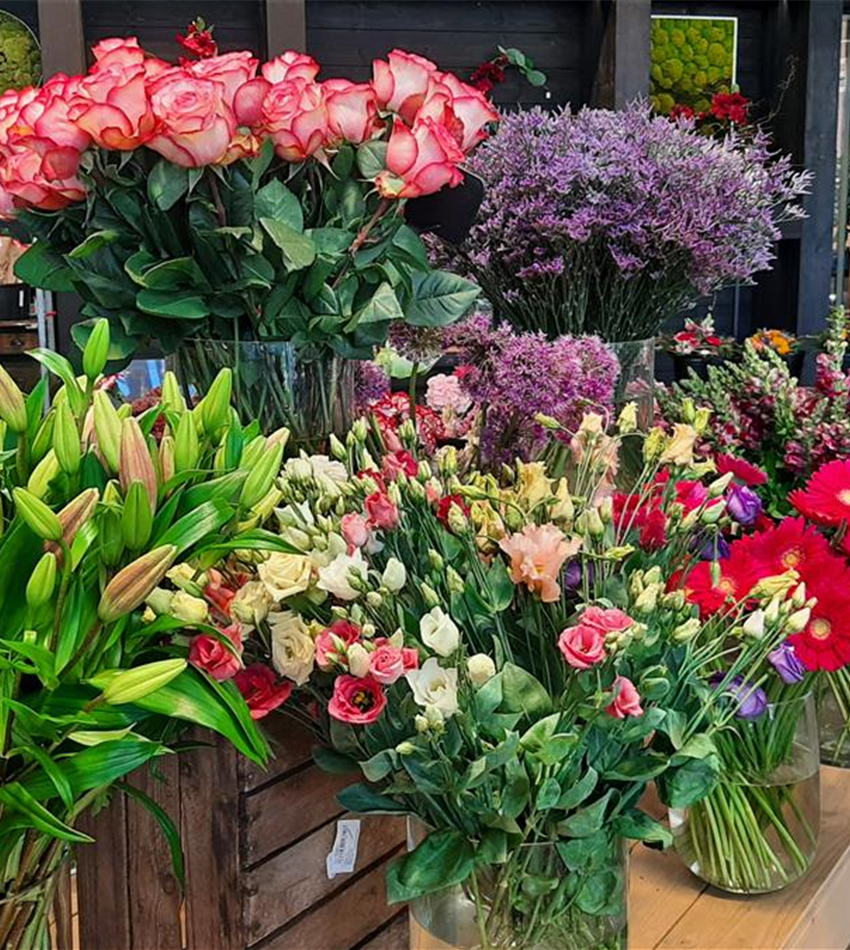 Schnittblumen Liste Mit Bildern