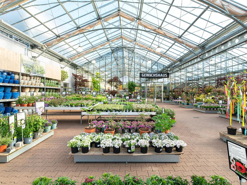 Garten Küche Im Pflanzen Breuer Gartencenter Sankt Augustin – XHYY
