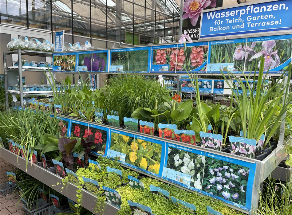 54 Künstliche Wasserpflanzen – Teich Deko, Schwimmende Wasserlinsen, Set Mit 3 Größen, Für Miniteich, Aquarium, Fischbecken, Pflegeleicht