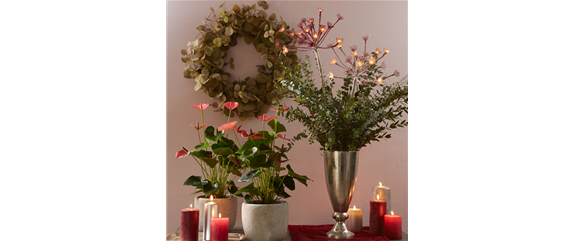 LICHTER IM HERBST LICHTER IM HERBST