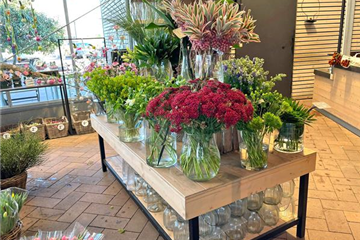 Schnittblumen Schnittblumen