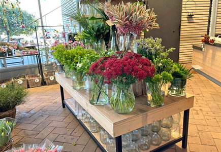 Schnittblumen Schnittblumen