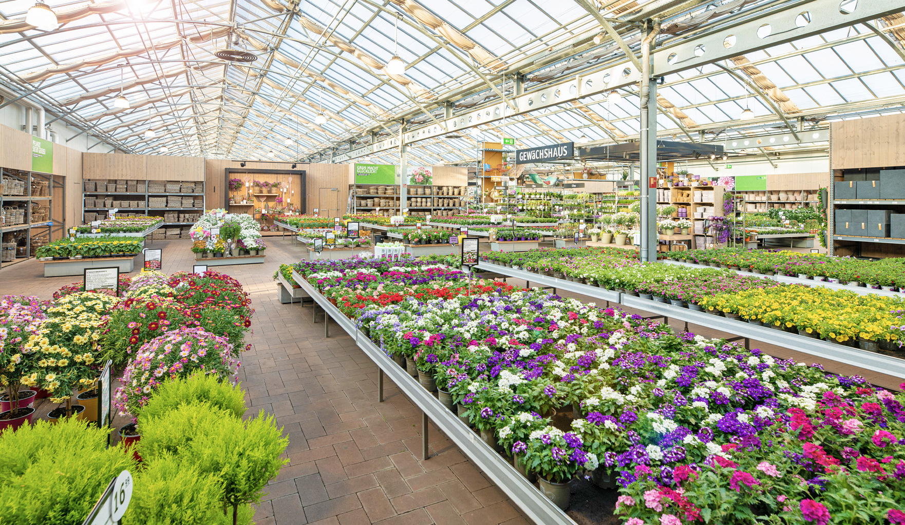 Beet&Balkonblumen-Breuer-Bonn.jpg