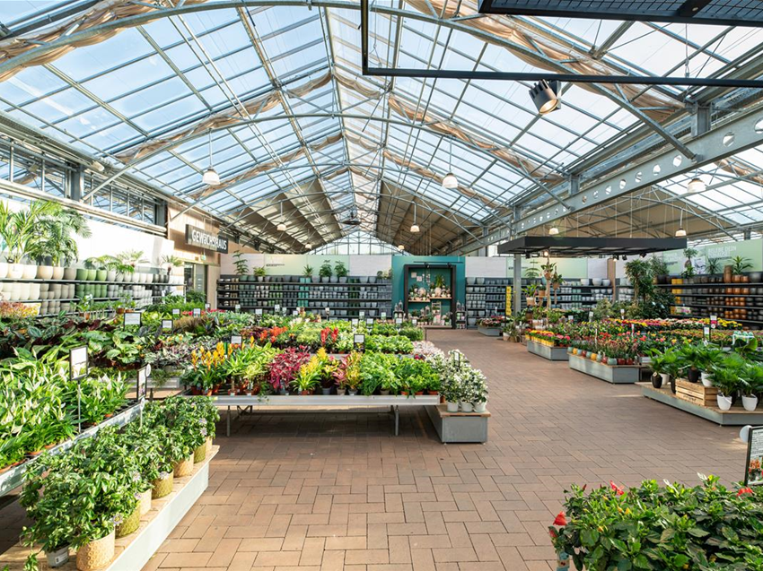 Zimmerpflanzen kaufen im Gartencenter nahe Bonn & Kln