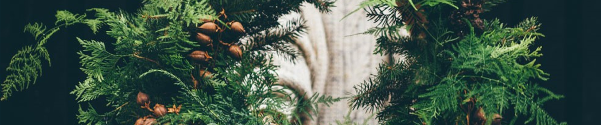 ADVENT, ADVENT – EIN KERZLEIN BRENNT!