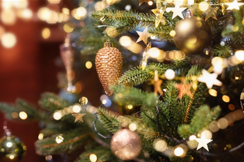 Weihnachtsbaumverkauf