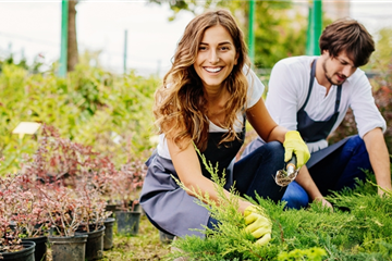 Stellenangebote Stellenangebote