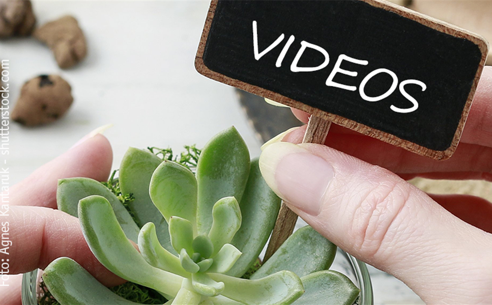 VIDEOS - TIPPS UND TRICKS! VIDEOS - TIPPS UND TRICKS!