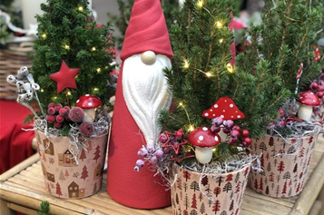 Blühende Geschenke Blühende Geschenke