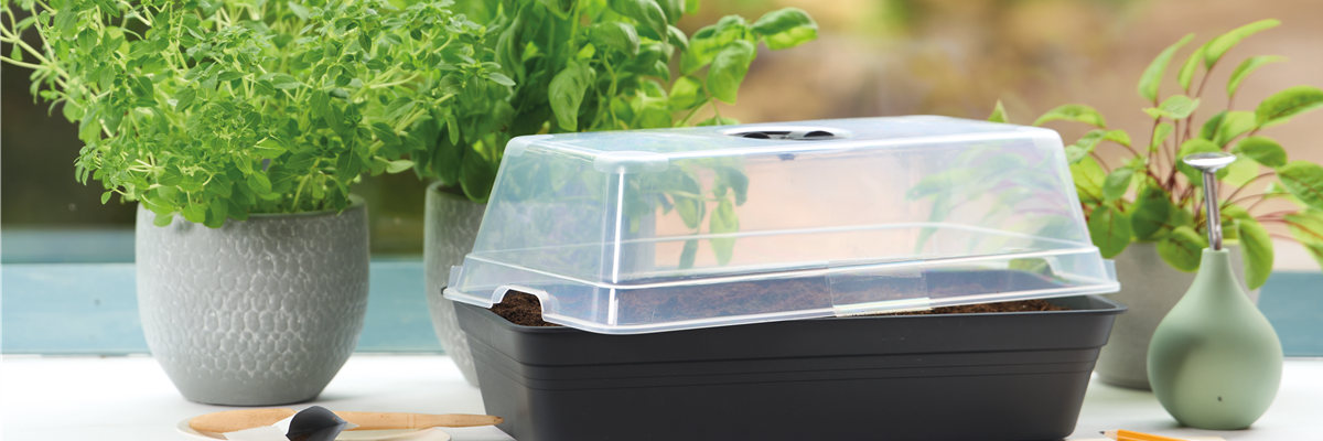 PLATZ DA AUF DER FENSTERBANK!