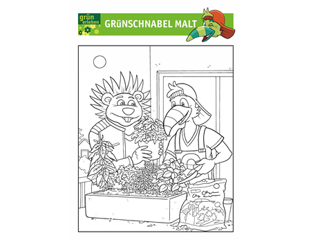 Grünschnabel Malvorlage 3 25 Grünschnabel Malvorlage 3 25