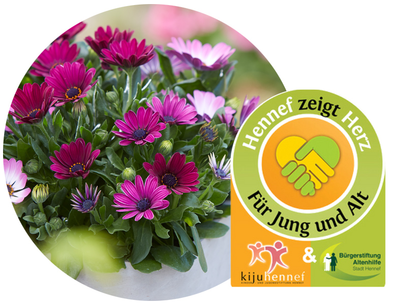 Spendenakton_Hennef_April-Mai.jpg