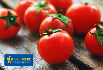 Tomatentag-SA.jpg