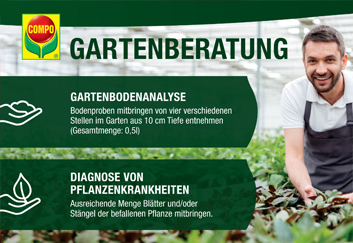 Compo-Beratung-SA.jpg