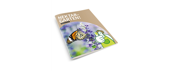 INSEKTENFREUNDLICHER ROSENGARTEN! INSEKTENFREUNDLICHER ROSENGARTEN!