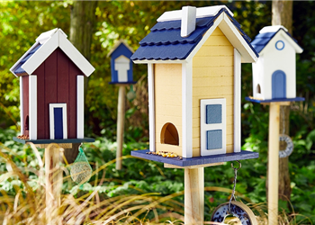 Vogelhäuser & -futter