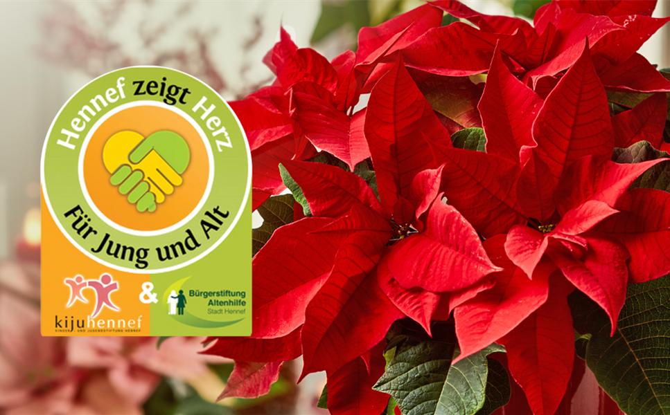 Weihnachtsstern für Jung und Alt - Spendenaktion Hennf zeigt Herz