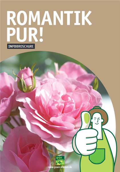 Infobrosch-Rosen.jpg