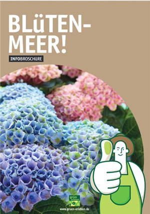 Infobrosch-Hortensien_kl.jpg