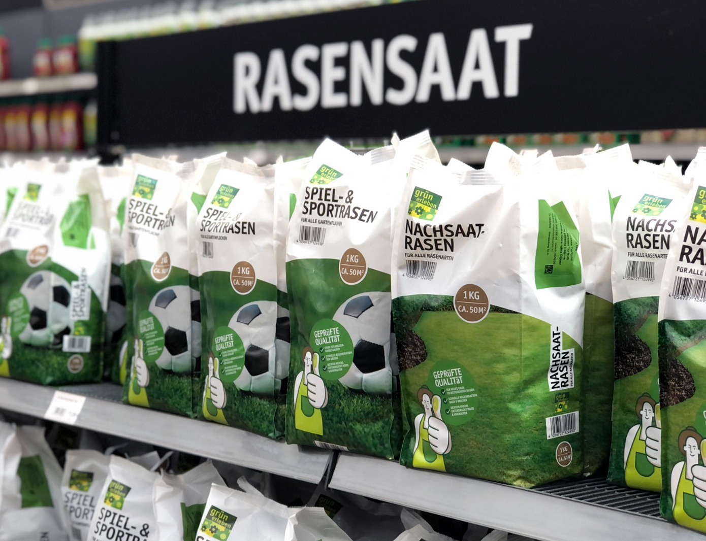 Regal mit Rasensaat für Spiel- & Sportrasen sowie Nachsaatrasen