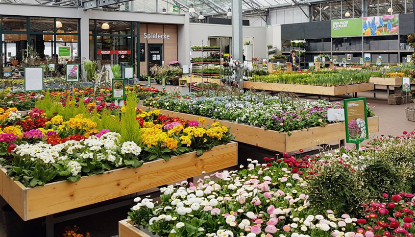 Fruehlingsblumen_Hennef.jpg Fruehlingsblumen_Hennef.jpg