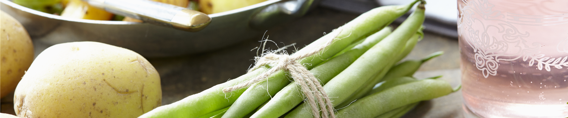 Phaseolus vulgaris