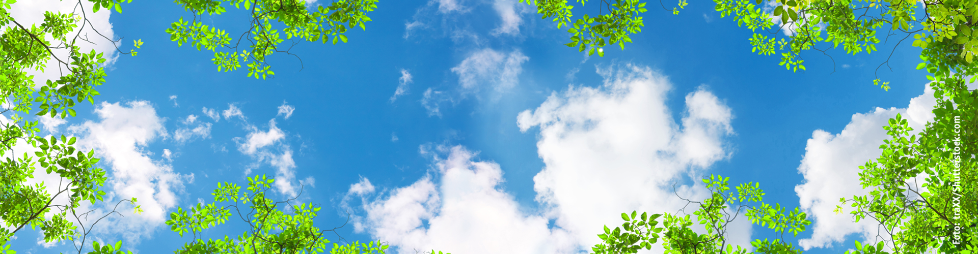 Klimaschutzbanner